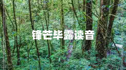 鋒芒畢露讀音