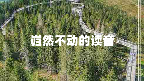 巋然不動(dòng)的讀音