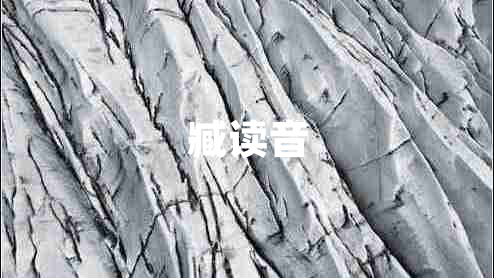 臧讀音