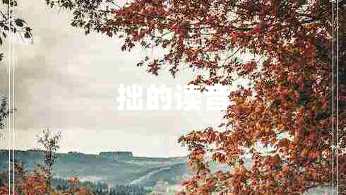拙的讀音