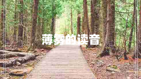 薄霧的讀音