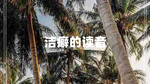 潔癖的讀音