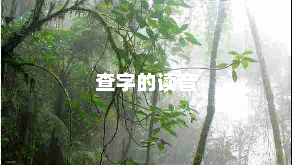 查字的讀音