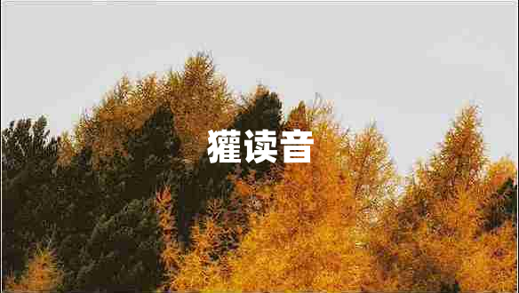 獾讀音