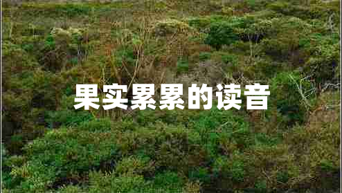 果實(shí)累累的讀音