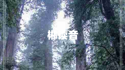 郴讀音