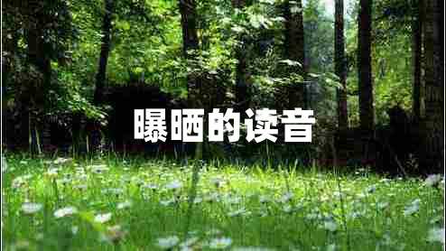曝曬的讀音