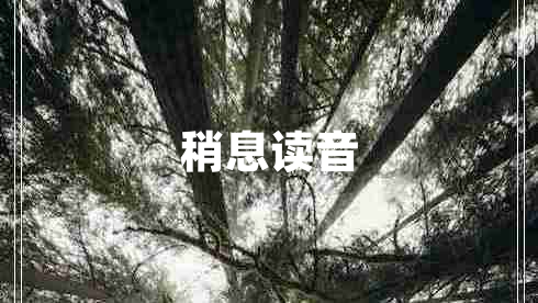 稍息讀音