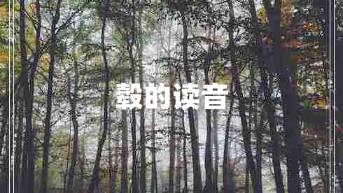 轂的讀音