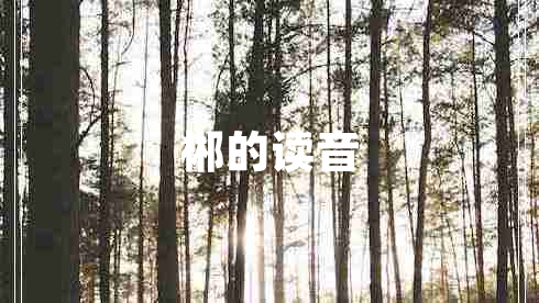 郴的讀音