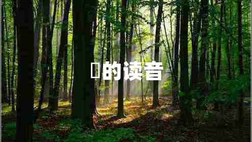 赟的讀音