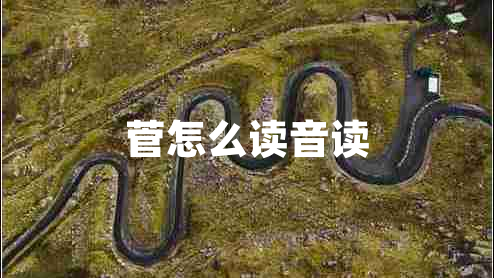 菅怎么讀音讀
