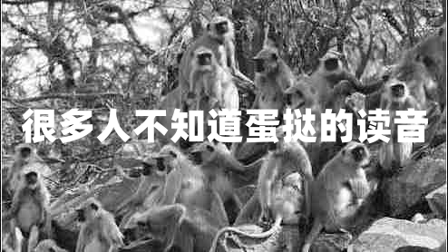很多人不知道蛋撻的讀音