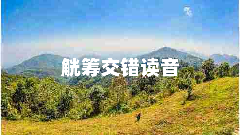 觥籌交錯讀音