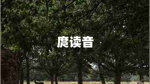 庹讀音