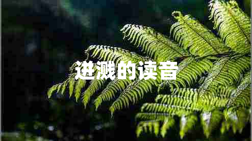 迸濺的讀音