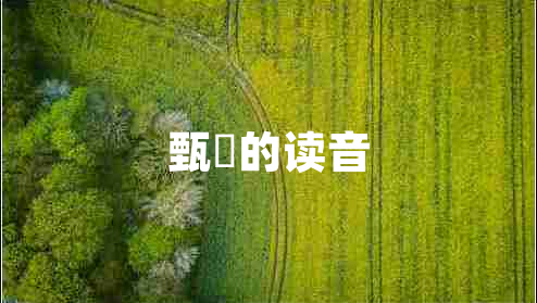 甄嬛的讀音