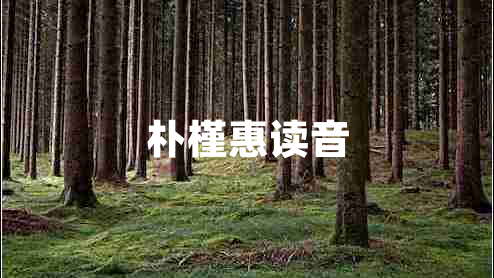 樸槿惠讀音