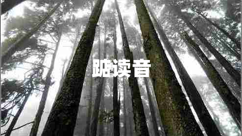 踮讀音
