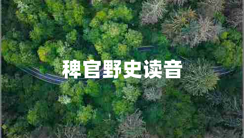 稗官野史讀音