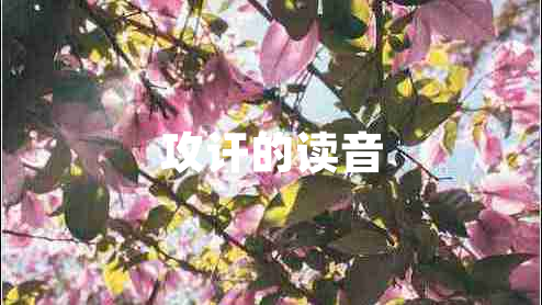 攻訐的讀音