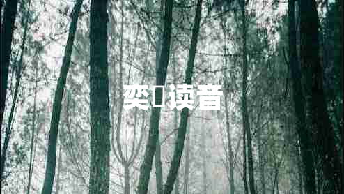 奕詝讀音