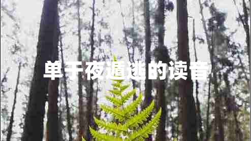 單于夜遁逃的讀音