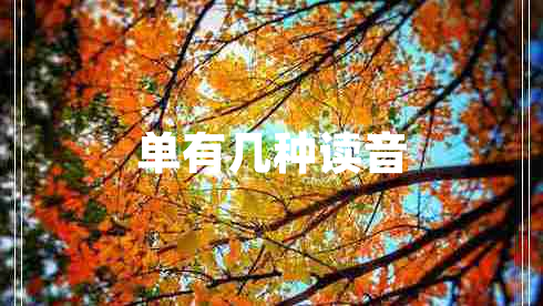 單有幾種讀音