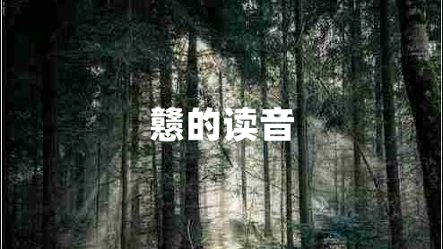 戇的讀音