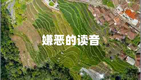嫌惡的讀音