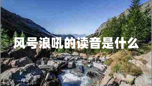 風(fēng)號浪吼的讀音是什么