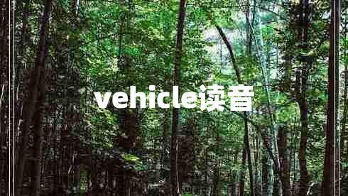 vehicle讀音