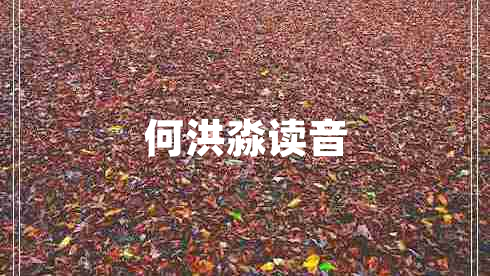 何洪淼讀音