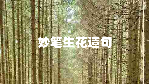 妙筆生花造句