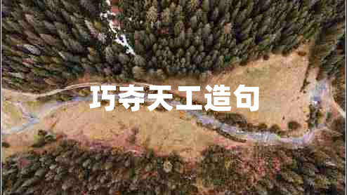 巧奪天工造句