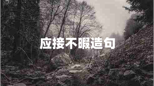 應接不暇造句