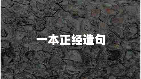 一本正經(jīng)造句