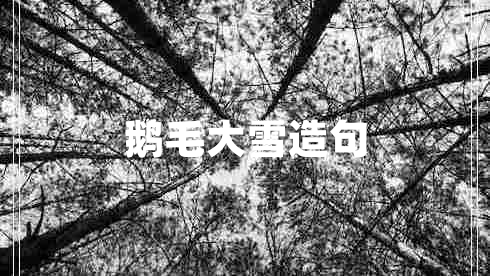 鵝毛大雪造句