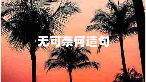 無(wú)可奈何造句