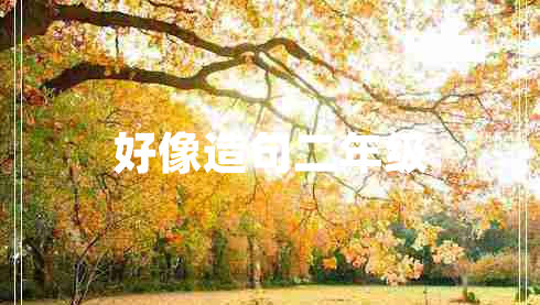 好像造句二年級