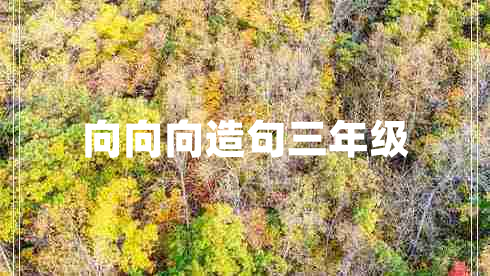 向向向造句三年級