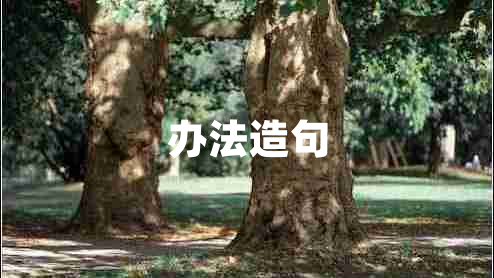 辦法造句
