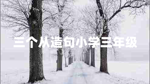 三個(gè)從造句小學(xué)三年級