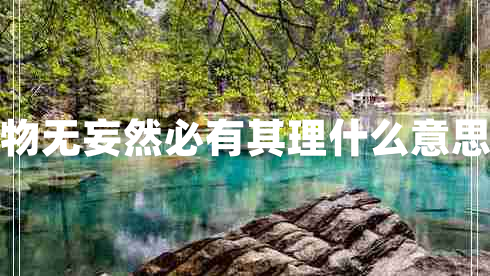 物無(wú)妄然必有其理什么意思