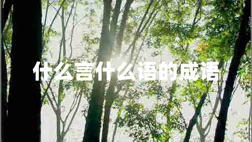 什么言什么語(yǔ)的成語(yǔ)