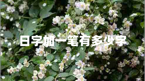 日字加一筆有多少字