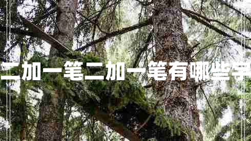 二加一筆二加一筆有哪些字