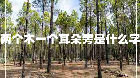 兩個(gè)木一個(gè)耳朵旁是什么字