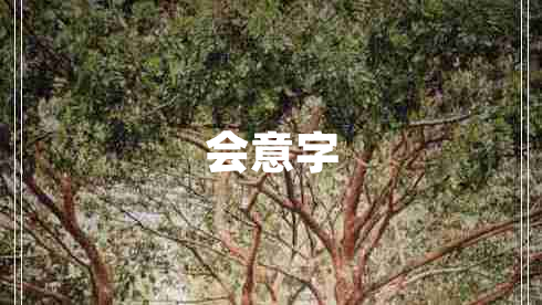 會(huì)意字