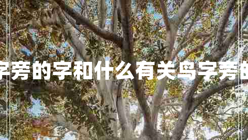 鳥(niǎo)字旁的字和什么有關(guān)鳥(niǎo)字旁的字